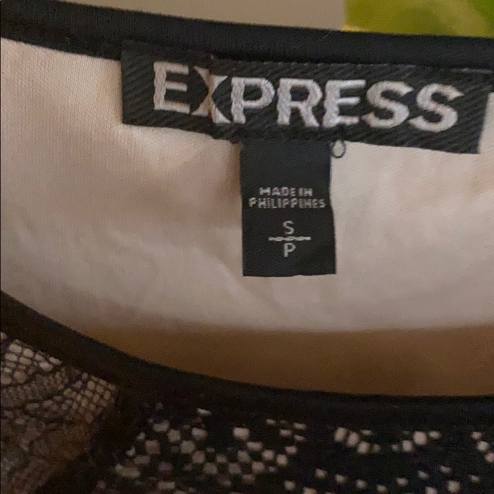 Express Lace Mini Dress - Picture 3 of 4